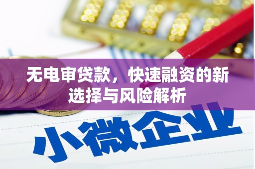 荔城无电审贷款，快速融资的新选择与风险解析