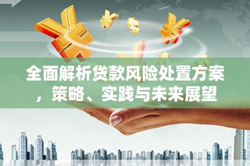 荔城全面解析贷款风险处置方案，策略、实践与未来展望