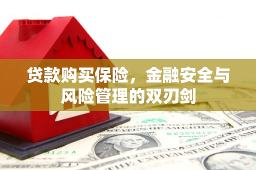 荔城贷款购买保险，金融安全与风险管理的双刃剑