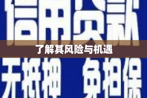 荔城了解其风险与机遇