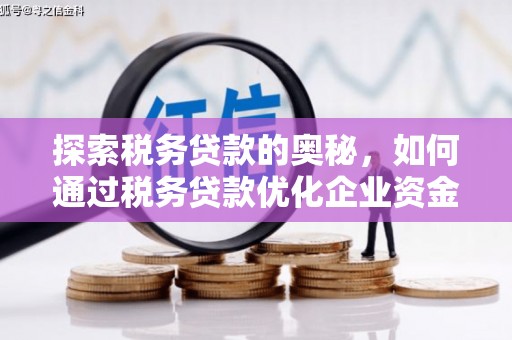 荔城探索税务贷款的奥秘，如何通过税务贷款优化企业资金流