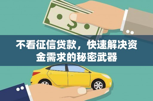 荔城不看征信贷款，快速解决资金需求的秘密武器
