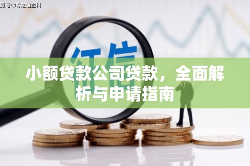 荔城小额贷款公司贷款，全面解析与申请指南