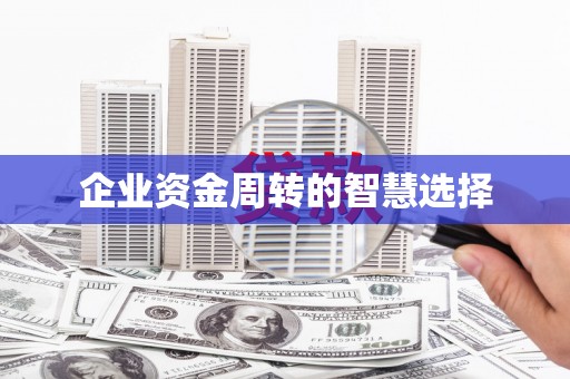 荔城企业资金周转的智慧选择