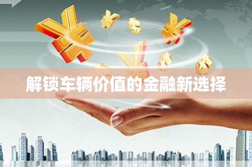 荔城解锁车辆价值的金融新选择