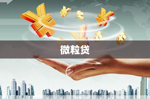 荔城微粒贷