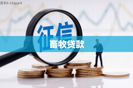 荔城畜牧贷款