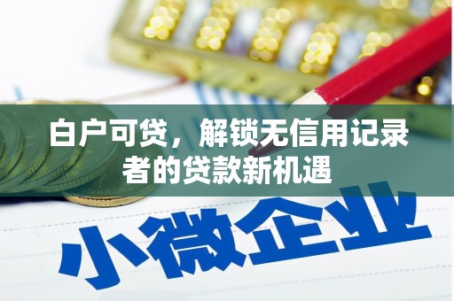 荔城白户可贷，解锁无信用记录者的贷款新机遇