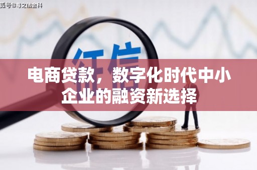 荔城电商贷款，数字化时代中小企业的融资新选择