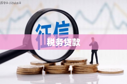 荔城税务贷款