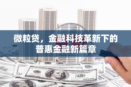 荔城微粒贷，金融科技革新下的普惠金融新篇章
