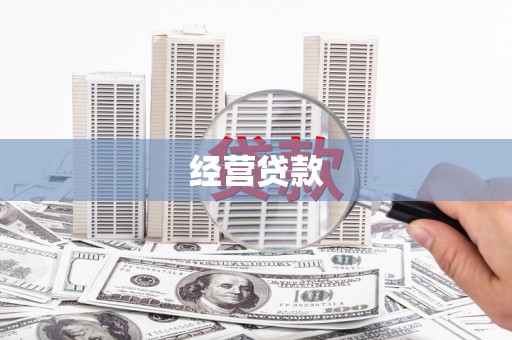 荔城经营贷款