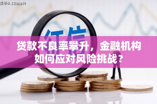 荔城贷款不良率攀升，金融机构如何应对风险挑战？