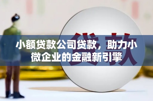 荔城小额贷款公司贷款，助力小微企业的金融新引擎