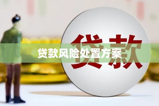 荔城贷款风险处置方案