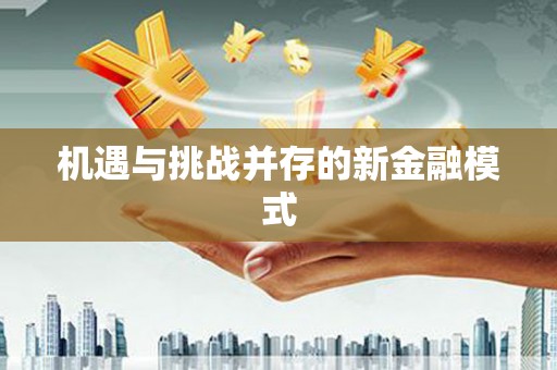 荔城机遇与挑战并存的新金融模式