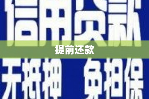 荔城提前还款