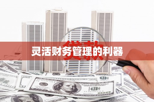 荔城灵活财务管理的利器