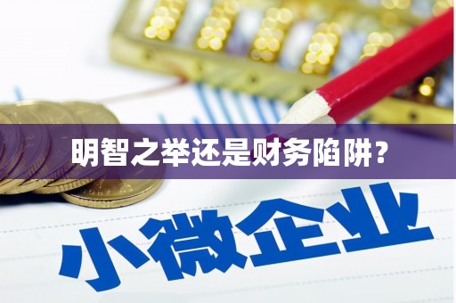 荔城明智之举还是财务陷阱？