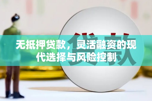 荔城无抵押贷款，灵活融资的现代选择与风险控制
