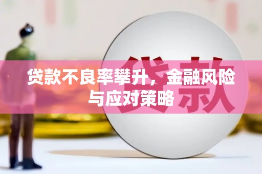 荔城贷款不良率攀升，金融风险与应对策略