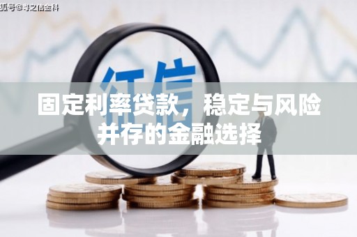 荔城固定利率贷款，稳定与风险并存的金融选择