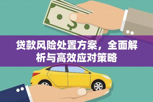 荔城贷款风险处置方案，全面解析与高效应对策略