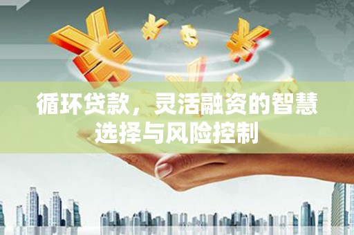 荔城循环贷款，灵活融资的智慧选择与风险控制