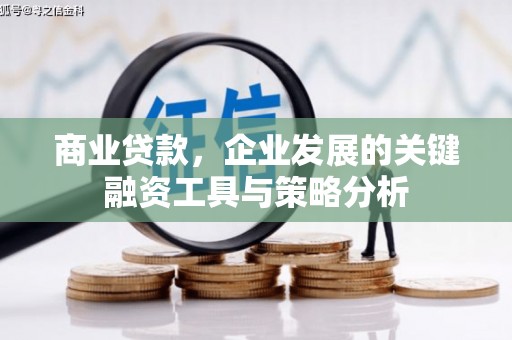 荔城商业贷款，企业发展的关键融资工具与策略分析