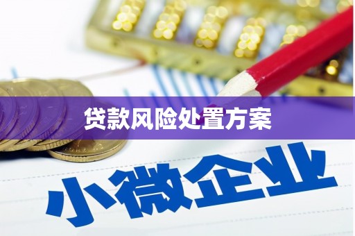 荔城贷款风险处置方案