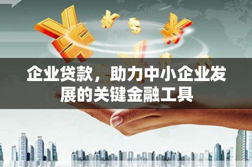 荔城企业贷款，助力中小企业发展的关键金融工具