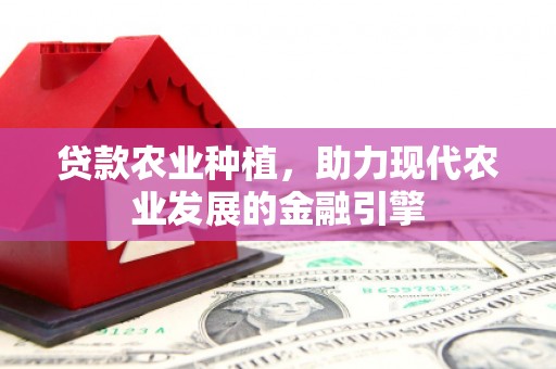 荔城贷款农业种植，助力现代农业发展的金融引擎