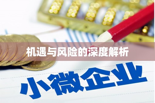 荔城机遇与风险的深度解析