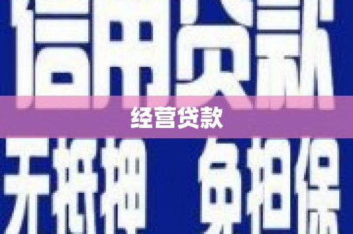 荔城经营贷款