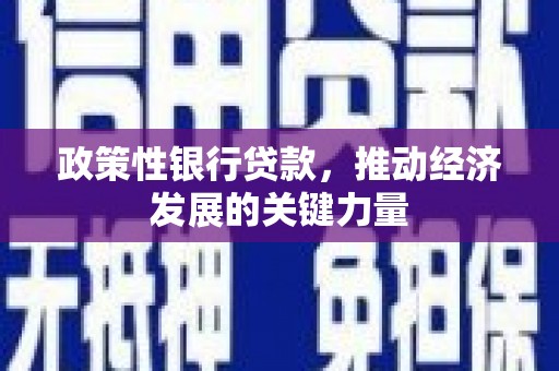 荔城政策性银行贷款，推动经济发展的关键力量