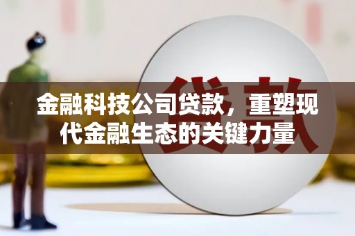 荔城金融科技公司贷款，重塑现代金融生态的关键力量