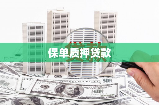 荔城保单质押贷款