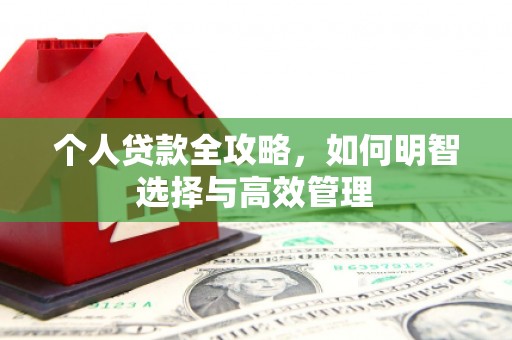 荔城个人贷款全攻略，如何明智选择与高效管理