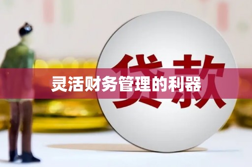 荔城灵活财务管理的利器