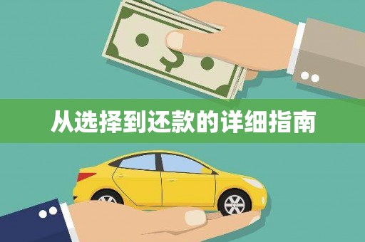 荔城从选择到还款的详细指南