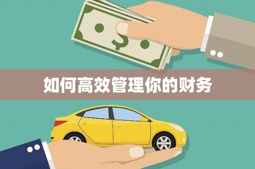 荔城如何高效管理你的财务