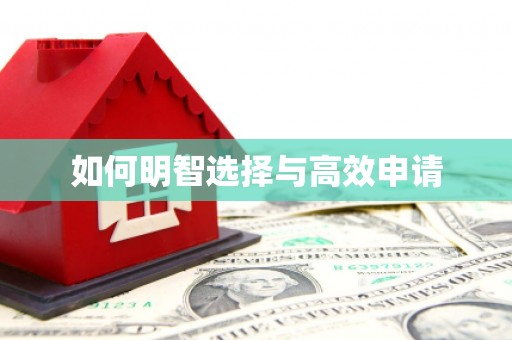 荔城如何明智选择与高效申请