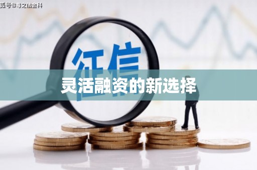 荔城灵活融资的新选择