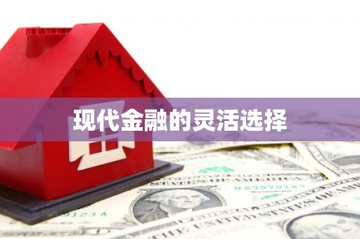 荔城现代金融的灵活选择