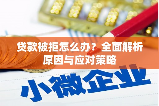 荔城贷款被拒怎么办？全面解析原因与应对策略