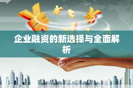 荔城企业融资的新选择与全面解析