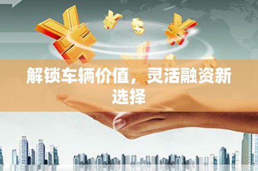 荔城解锁车辆价值，灵活融资新选择
