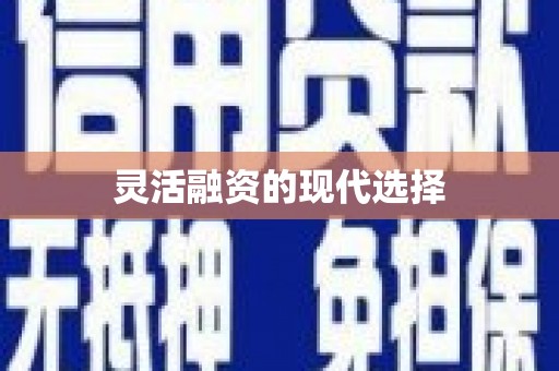 荔城灵活融资的现代选择