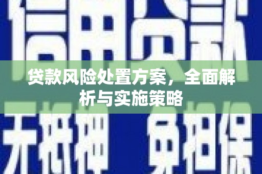 荔城贷款风险处置方案，全面解析与实施策略