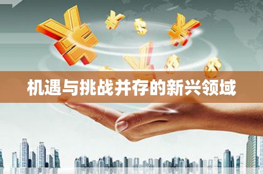 荔城机遇与挑战并存的新兴领域